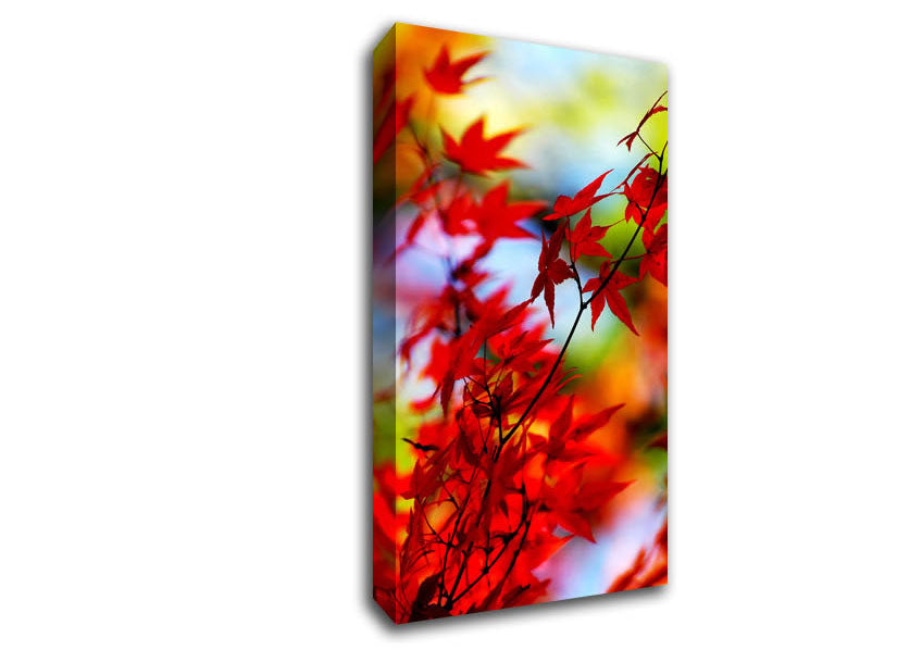 Red Autumn Leaves Canvas Wall Art