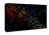 Abstarct Neon Floral 08 Canvas Wall Art