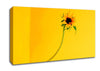 Mustard Sunflower Canvas Wall Art