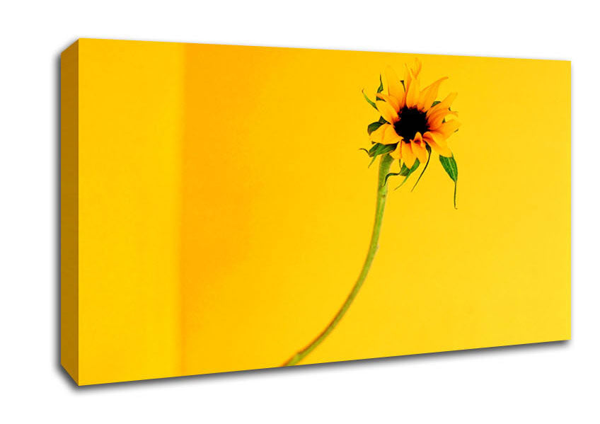 Mustard Sunflower Canvas Wall Art