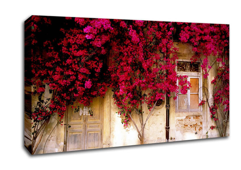 Italian Farmhouse Beauty Canvas Wall Art