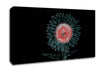 Abstarct Neon Floral 20 Canvas Wall Art