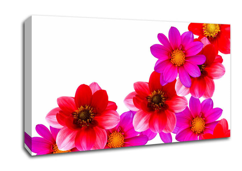 Pink And Red Flower Heads Canvas Wall Art