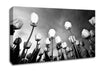 Black And White Tulip Skys Canvas Wall Art