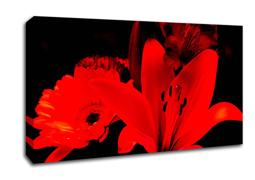 Infra Red Bloom Canvas Wall Art