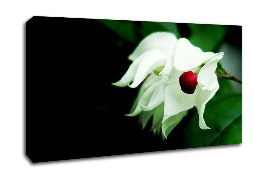 Red Ball Centre Canvas Wall Art
