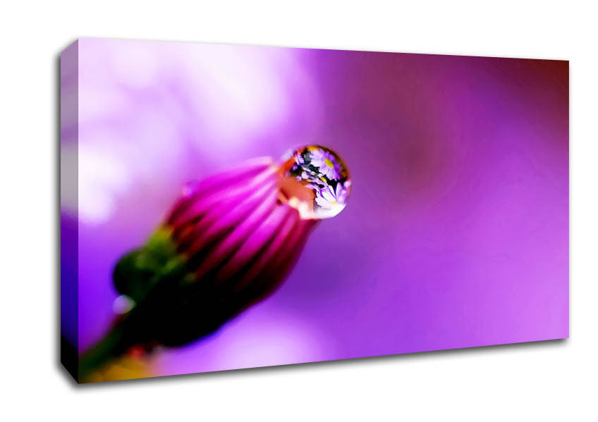 Purple Water Drop Reflection Canvas Wall Art