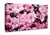 Pink Ocean Spray Canvas Wall Art