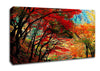 Autumn Tree Delight Canvas Wall Art