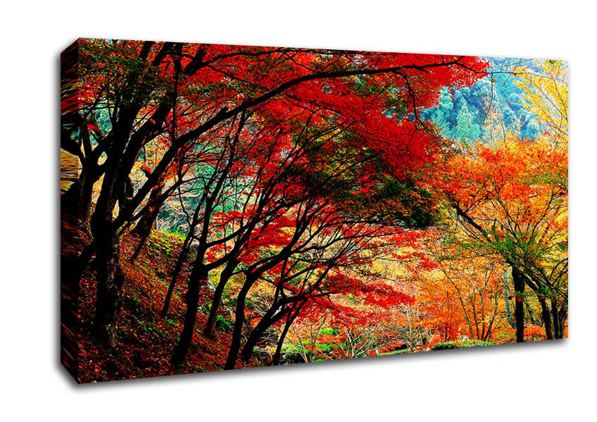 Autumn Tree Delight Canvas Wall Art