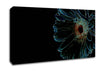 Night Flower Canvas Wall Art