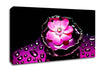Pink Flower Splash Canvas Wall Art