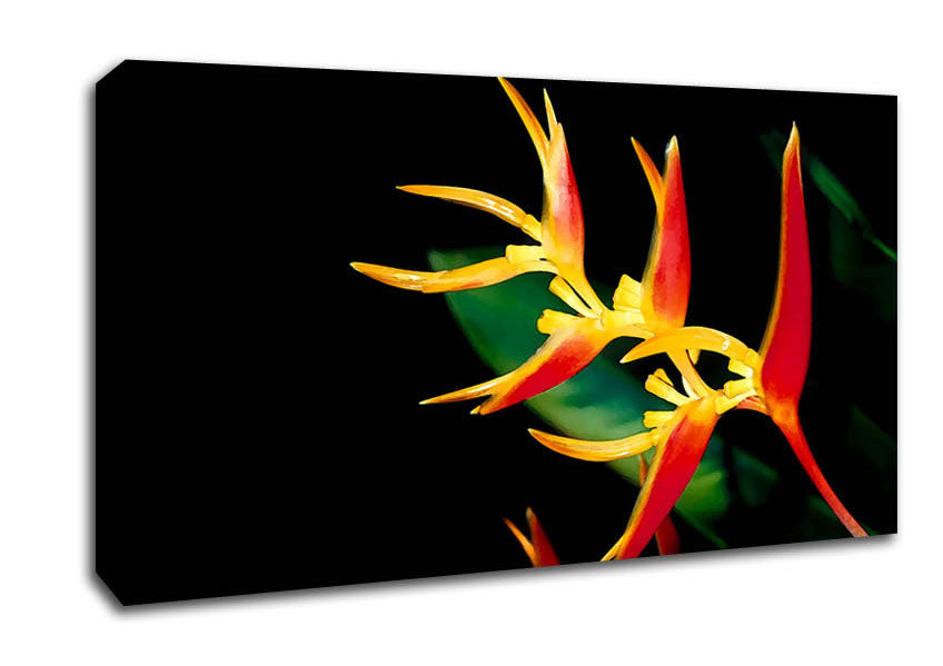 Bird Of Paradise In Sunlight Canvas Wall Art