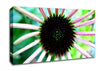Magical Centre Canvas Wall Art