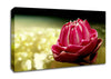 Pink Water Lily Sparkle Canvas Wall Art