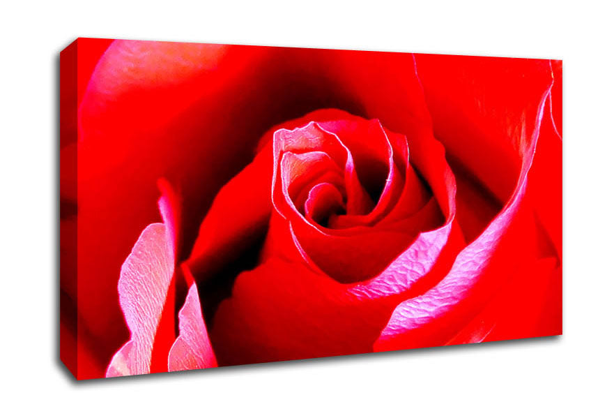 Pink Rose Bud Canvas Wall Art
