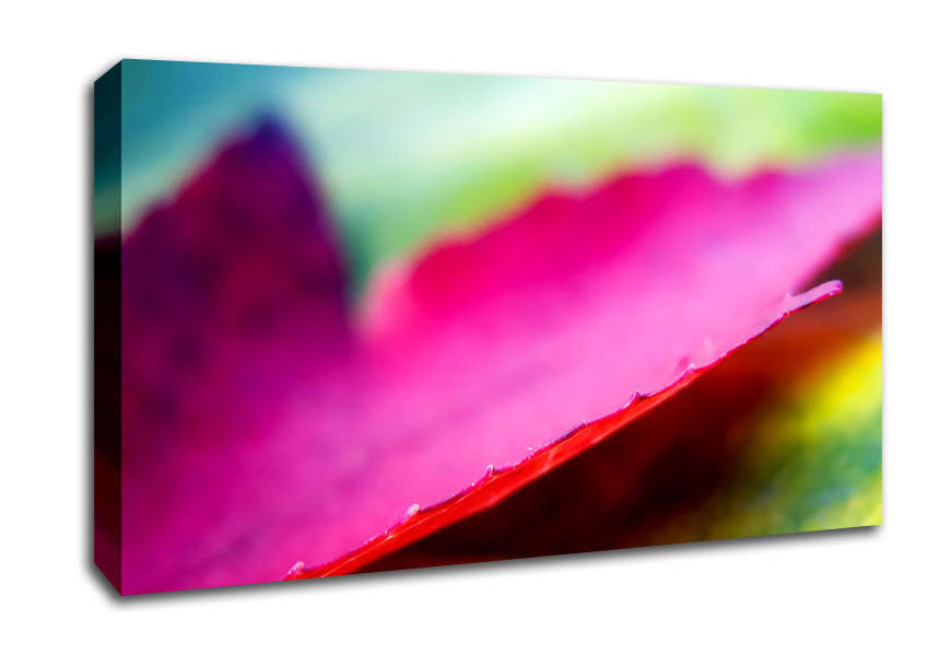 Pink Autumn Leave Canvas Wall Art