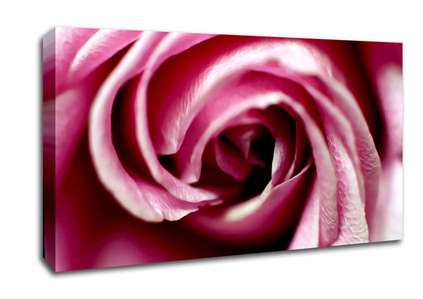 Pink Rose Centre Canvas Wall Art