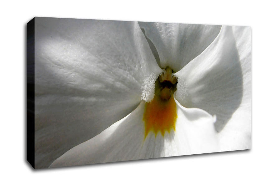 Just A Hint Of Yellow Canvas Wall Art