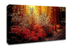 Autumn Forest Canvas Wall Art