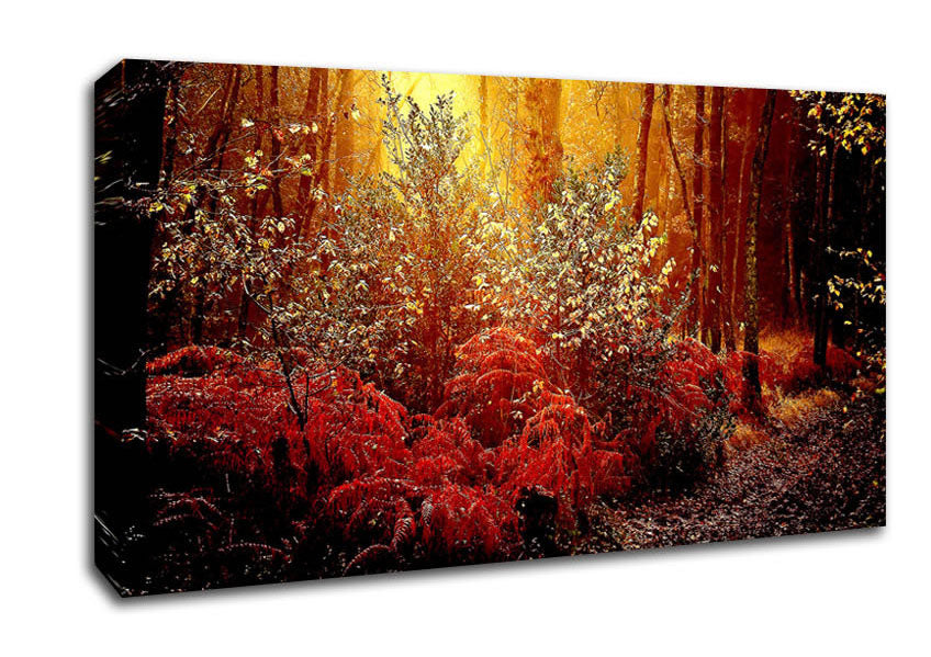 Autumn Forest Canvas Wall Art