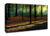 Autumn Light Canvas Wall Art