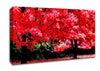Pink Autumn Leaves Canvas Wall Art