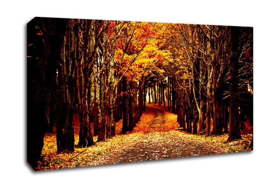 Late Autumn Canvas Wall Art