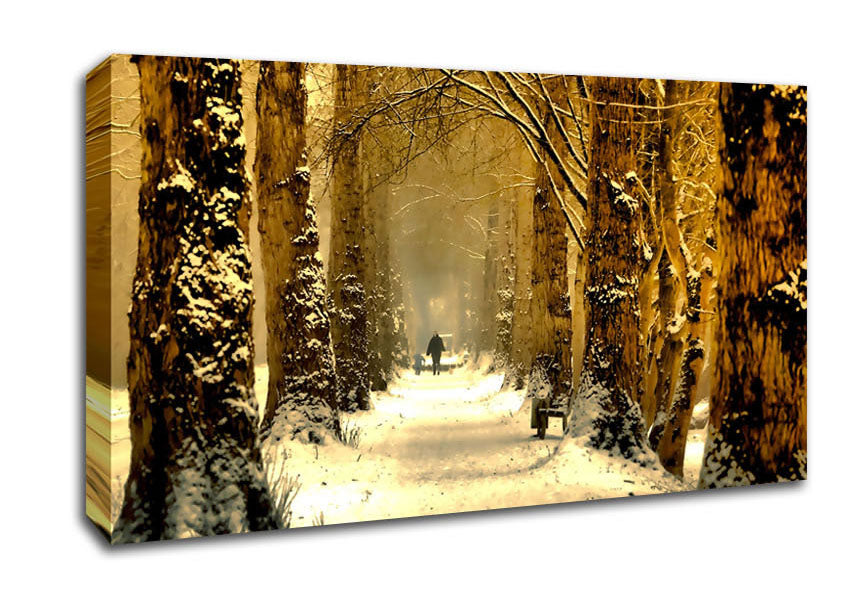 Beautiful Tree Passage Winter Canvas Wall Art