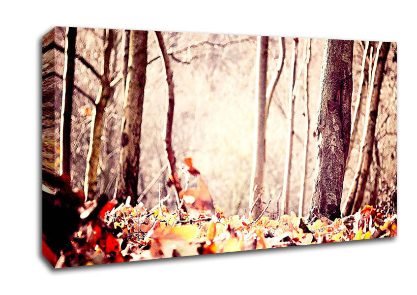 Leaves On The Autumn Ground Canvas Wall Art