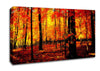 In The Depth Of The Orange Forest Canvas Wall Art