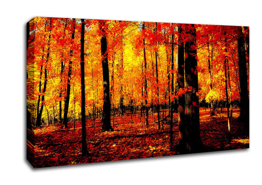 In The Depth Of The Orange Forest Canvas Wall Art