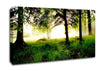Morning Fog Canvas Wall Art