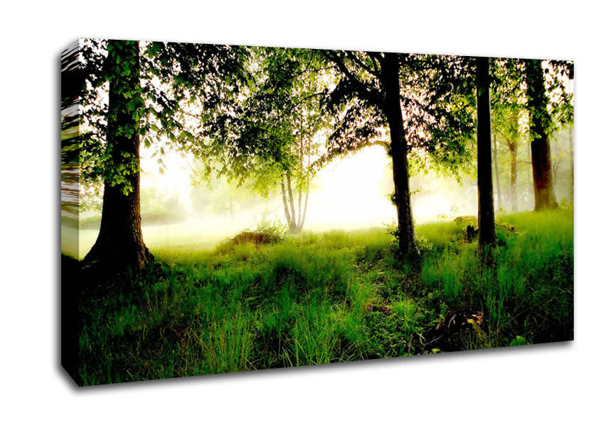 Morning Fog Canvas Wall Art
