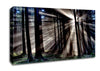 Morning Sun Rays Forest Canvas Wall Art