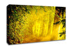 Enchanted Forest Canvas Wall Art