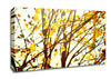 Light In The Forest Canvas Wall Art