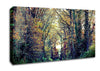 Just Trees Canvas Wall Art