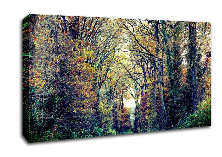Just Trees Canvas Wall Art