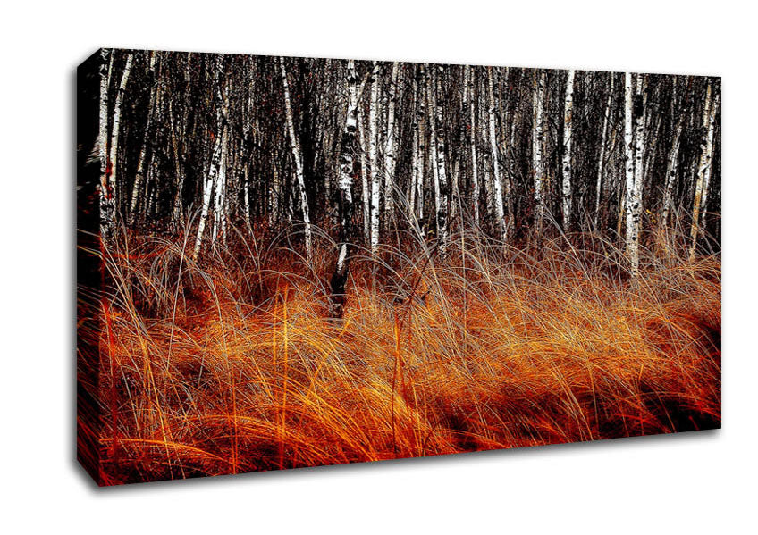 Just Before The Forest Canvas Wall Art