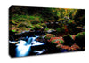 Autumn Forest River Canvas Wall Art