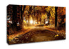 Autumn Breeze Canvas Wall Art