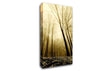 In The Depth Of The Forest Canvas Wall Art