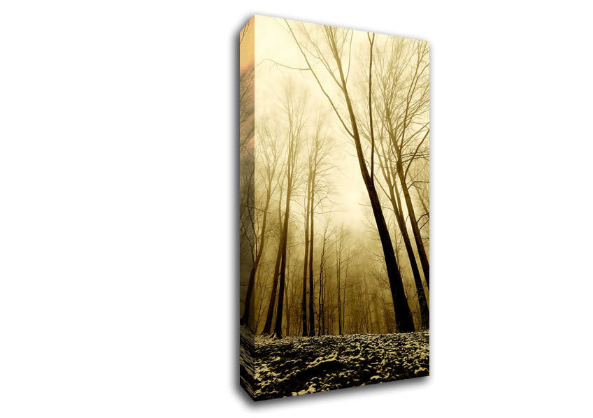 In The Depth Of The Forest Canvas Wall Art