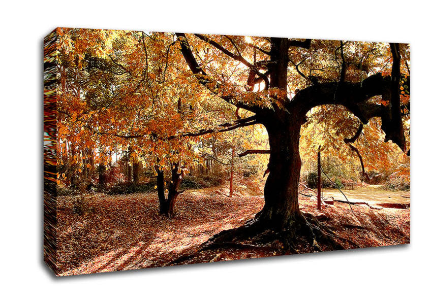 In The Depths Of The Old Forest Canvas Wall Art