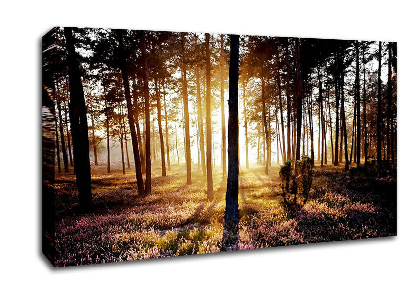 Pink Forest Beams Canvas Wall Art
