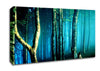 Midnight Blue Forest Canvas Wall Art
