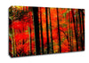 Red Autumn Forest Canvas Wall Art