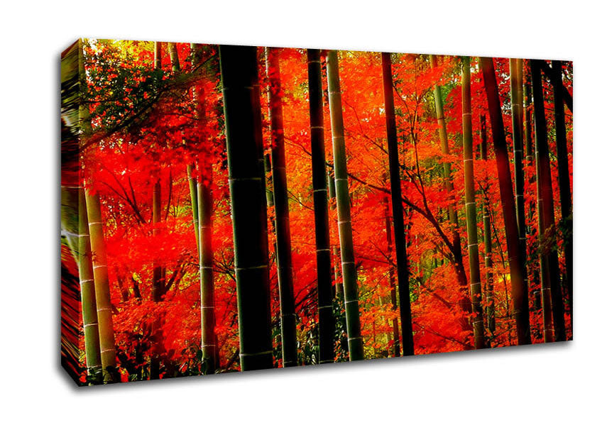 Red Autumn Forest Canvas Wall Art
