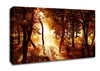 Ochre Forest Canvas Wall Art